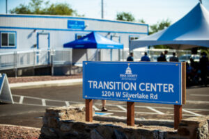 Lives in Transition